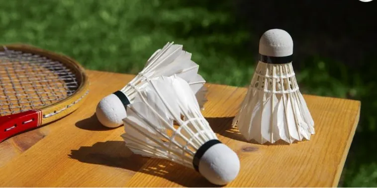 Hướng Dẫn Chi Tiết Cách Chơi Cá Cược Cầu Lông Hi88