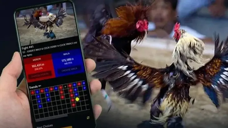 Hướng Dẫn Chơi Đá Gà Hi88 Dành Cho Bet Thủ Chuyên Nghiệp