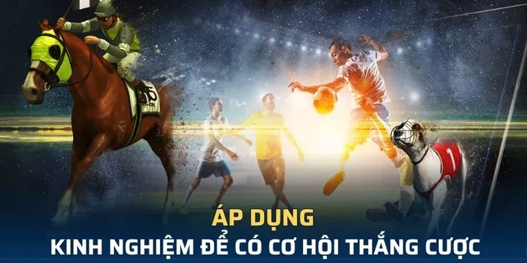 Khám Phá Cá Cược Thể Thao Ảo Hi88 Hiệu Quả Cho Bet Thủ 1 Khám Phá Cá Cược Thể Thao Ảo Hi88 Hiệu Quả Cho Bet Thủ