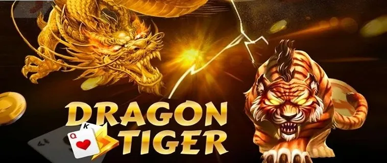 Kinh Nghiệm Chơi Dragon Tiger Hi88 Thắng Lớn Dành Cho Bet Thủ